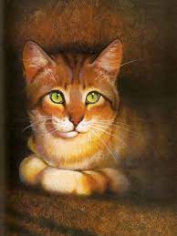 Wayne Mcloughlin Warrior Cats Art Warrior Cats Warrior Cats Books
