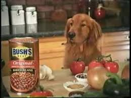 Pin By Kathy Ludwig On Puppy Love Famous Dogs Dogs Baked Beans