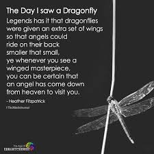 The Day I Saw A Dragonfly In 2020 Dragonfly Quotes Dragonfly Indian Proverbs