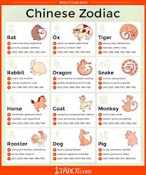 Whats Your Chinese Zodiac Sign Chinese Zodiac Zodiac