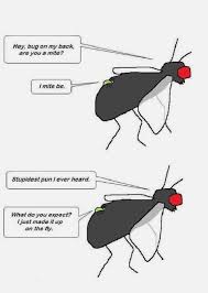 Insect Fly Mite Pun Cartoon Joke Cartoon Jokes Funny Images Funny Pictures