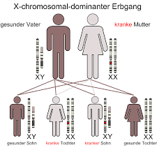 Syndrom bei hyperammonamie im kindesalter // wien. Erbkrankheit Wikipedia
