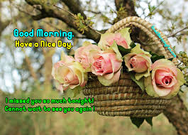 As you go about your day, no matter what happens today or comes your way, always remember that i care and love you so much. Good Morning Flowers Good Morning Fun