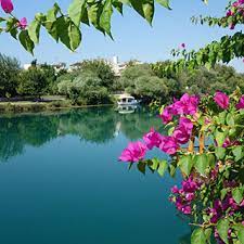 Maybe you would like to learn more about one of these? Gorod Manavgat Shoping I Razvlecheniya Dlya Otdyhayushih V Side Otzyv