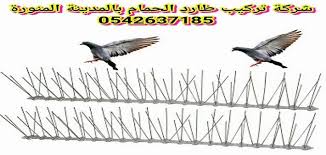 افضل شركة تركيب طارد حمام بالمدينة المنورة 0542637185 تركيب افضل شرائح طارد الطيور والحمام Animals Bird Rooster