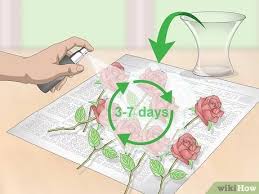 Measure the dimensions of the corsage and obtain a clear acrylic keepsake box from a craft or hobby shop that is large enough to hold it. How To Preserve Flowers With Hairspray 14 Steps With Pictures