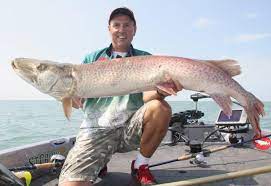 People interested in lake st. Casting For Lake St Clair Muskies Northern Ontario Travel