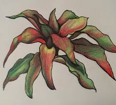 Field Trip Drawing Animals At The Zoo Artists Network