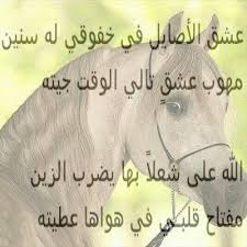 شعر عن الخيل اروع اشعار للخيل دلع ورد