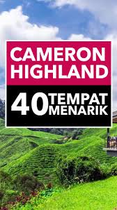 Mana tahu ada yang belum pergi, bolehlah singgah hujung minggu atau waktu cuti nanti. Cameron Highland 40 Best Places For Android Apk Download