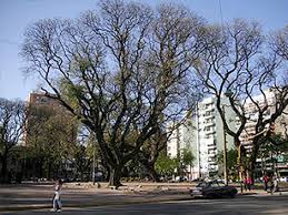 Villa Urquiza Buenos Aires Neighborhood Guide Gringo In Buenos Aires