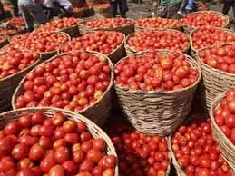 Tomato prices double due to heat, delayed rainfall - The Economic Times