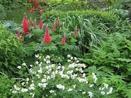 Invitamos a recorrer nuestro periódico cuatrimestral, con todas las novedades y notas de interés para el asociado. Reisefotos Der Gartenreise Zu Privatgarten Und Gartnereien In Und Um Lubeck Teil 2 Garten Der Horizonte Gutsgartnerei Sierhagen