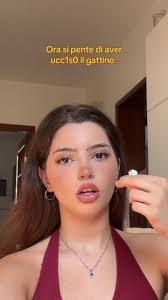 Samuel Gatto's Instagram, Twitter & Facebook