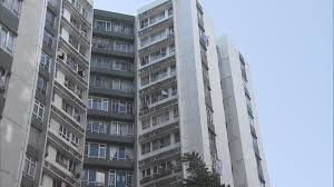 #鳳鳴年糕 #香港人香港製造 #年糕 #蘿蔔糕 #芋頭糕 #香港原創 #香港製造 #紅黑米石磨腸粉 #觀塘廣場 #小西灣 #富欣花園 #黃埔 #沙田 #河畔花園 #觀塘 #荔枝角 #hkfood #foodie #鳳嗚 #鳳. Kfatcjtqz03z2m