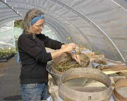 Firma hof berggarten, firma ahornblatt, fa. Unser Team Hof Berg Garten
