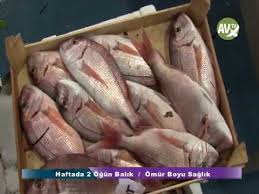 Izmir Balik Hali Av Tv Youtube
