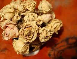 Flowers dry bouquet dried florals inspiration boho bride. Yellow Dried Flowers Free Image Peakpx