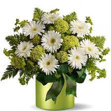 The most complete information about stores in st george, utah: We Got Flowers Wholesale Ssfloralaz Profile Pinterest