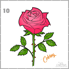 Use your observation skills and add even more shapes to the center of your rose. How To Draw A Rose Step By Step Guide For Beginners Craft Mart