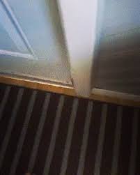 Evdeki Yerini Saglamlastirmak Icin Fare Takviyesi Yapan Akilli Kedi Kedi