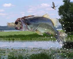 5 out of 5 stars. Free Download Bass Fishing Art Wallpapers 500x400 For Your Desktop Mobile Tablet Explore 50 Fishing Screensavers And Wallpaper Bass Fishing Desktop Wallpaper Free Fishing Wallpaper Free Fishing Wallpaper Downloads