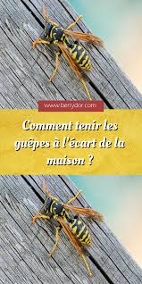 Comment Tenir Les Guepes A L Ecart De La Maison En 2020 Guepe Repulsif Guepe Repulsif Insectes