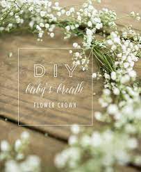 100 Layer Cakelet Diy Flower Crown Baby Breath Flower Crown Simple Flower Crown Diy