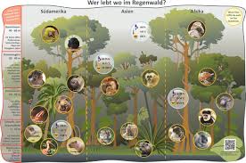 Regenwald Zoo Osnabruck Regenwalder Zoo Osnabruck Tropischer Regenwald