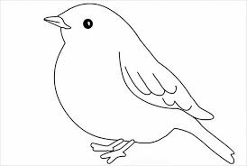 criacao molde passarinho passarinho passarinho em eva