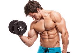 So most muscles in the body come in antagonistic pairs, and when one in the pair is contracted, the other is necessarily relaxed. What Muscle Groups To Workout Together Yeg Fitness