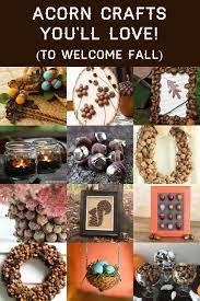Acorn Crafts for the Best Fall Ever - Mod Podge Rocks