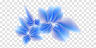 We did not find results for: Flower Border Border Flower Design Floral Design Pattern Transparent Png Pngset Com