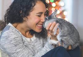 But for some reason women do not want to be. What Small Animals Like To Cuddle Lovetoknow