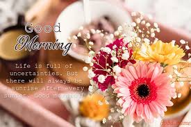 Best good morning friend message with image. Best Good Morning Flowers Greeting Cards Images