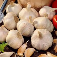 ail blanc sec