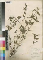 Image result for Otomeria