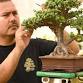 Beer and Bonsai Workshop at Nueces Brewing and Barbecuing