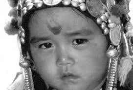 Fall 1995, Volume 11