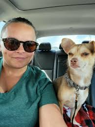 We have had, Chi's, Chiweenies, Chi-mixes come thru our house. Love them  all..