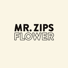 نتیجه جستجوی لغت [zips] در گوگل