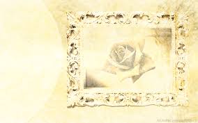 We have mackay's best online florist shop. Tree Wisdom Cards Archives Lisa Mcloughlin Art