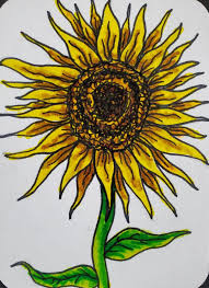 Image of how to draw sunflowers happy family art. How To Draw A Sunflower Easy Art Tutorial Art By Ro