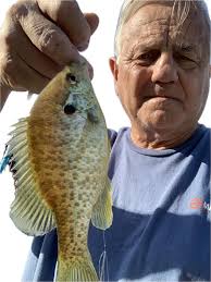 Few bream and shellcrackers.. western North Carolina. Cought