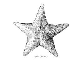 Beach Decor Starfish Wall Fine Art Print Underwater Art Etsy Starfish Drawing Starfish Wall Art Underwater Art