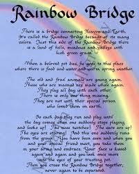 There are meadows and hills for all of our special friends so they can run and play together. The Rainbow Bridge Poem Petrefine
