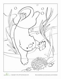 Sea Otter Worksheet Education Com Coloring Pages Otters Otter Birthday