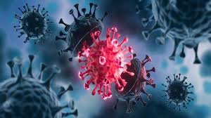 The name was coined by june almeida and david tyrrell who first observed and studied human coronaviruses. Coronavirus Latest Breaking News On Coronavirus Photos Videos Breaking Stories And Articles On Coronavirus