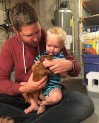 Mini goldendoodles are a low shedding hybrid of two popular breds. Goldendoodle Puppies In Minnesota Mn Top 5 Breeders We Love Doodles