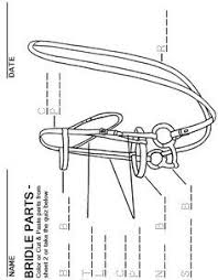 English Bridle Parts Worksheet Horse Anatomy Horse Lessons Horse Camp